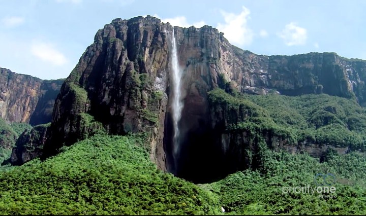 Priority One Network Website Clip